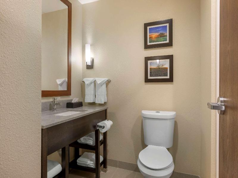 Comfort Inn & Suites Euless Dfw West image