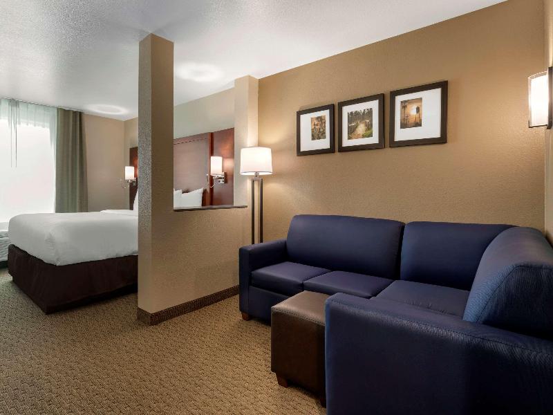 Comfort Inn & Suites Euless Dfw West image