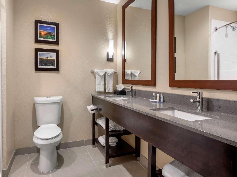 Comfort Inn & Suites Euless Dfw West image