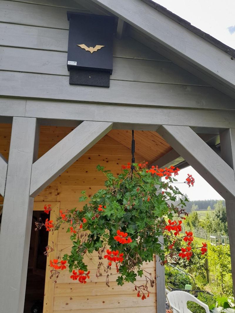 B&B Au Fil Des Saisons Sur La Wiels image