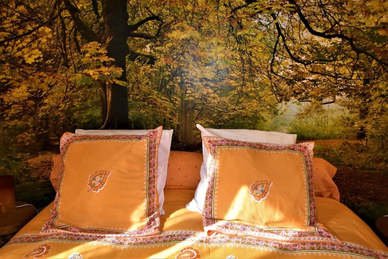 B&B Au Fil Des Saisons Sur La Wiels image