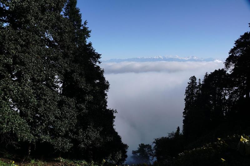 Agyaat Vaas image
