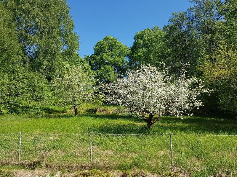 Brukshotellet Skinnsberg