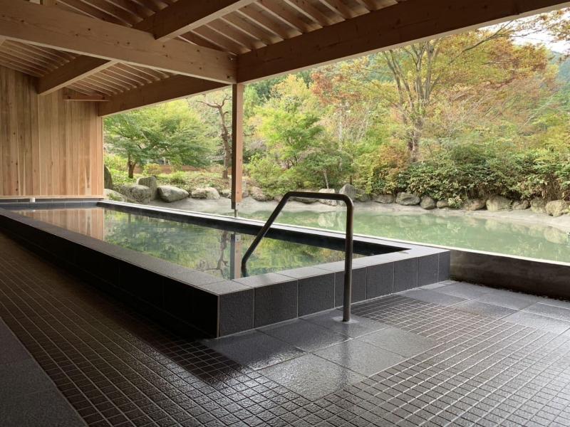 Gunma Fujioka Mori No Onsen Hotel — main photo