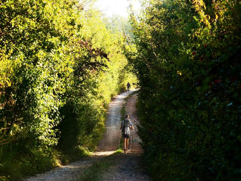 Agriturismo Fattoria Aquilone image