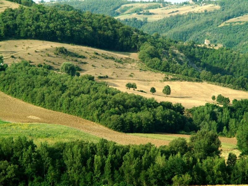 Agriturismo Fattoria Aquilone image