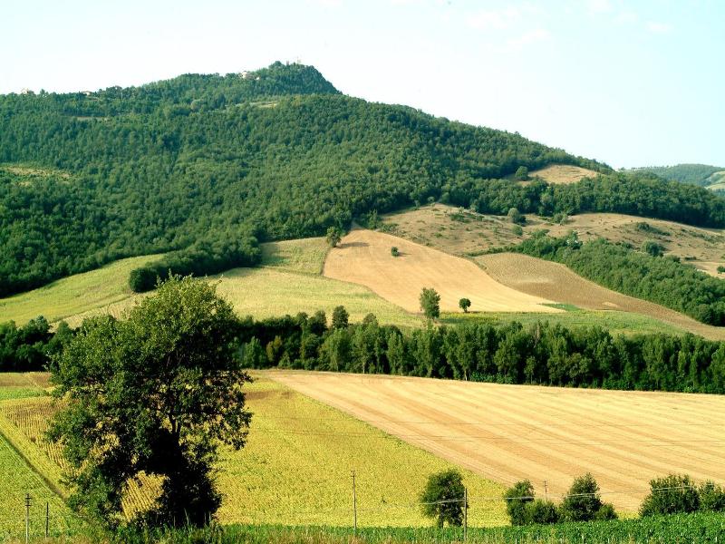 Agriturismo Fattoria Aquilone image