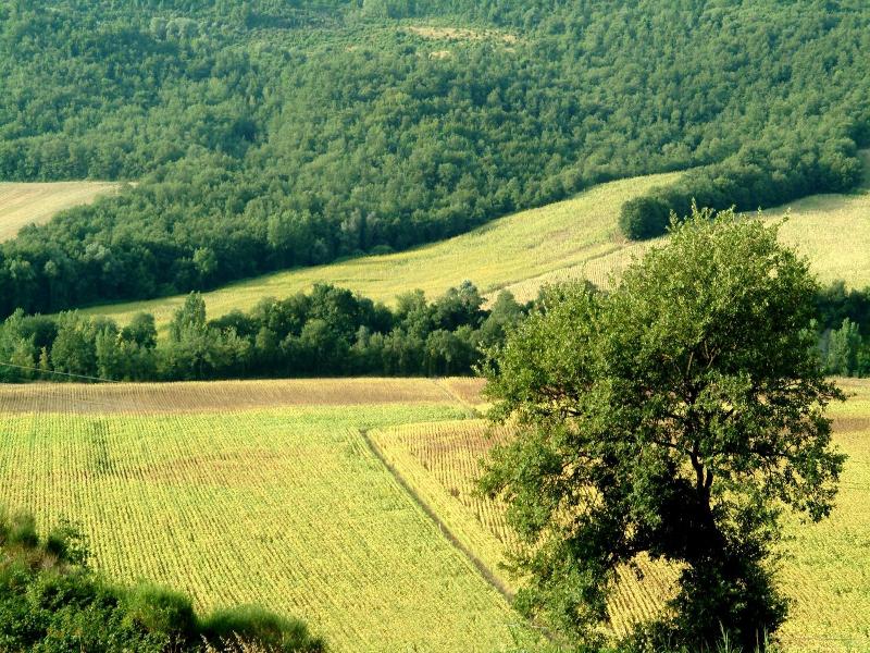 Agriturismo Fattoria Aquilone image