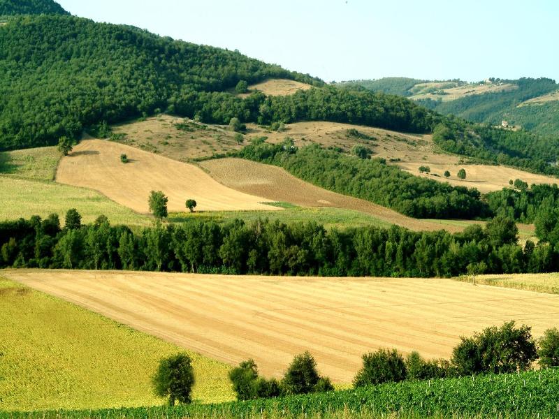 Agriturismo Fattoria Aquilone image