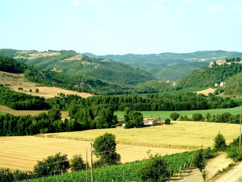 Agriturismo Fattoria Aquilone image