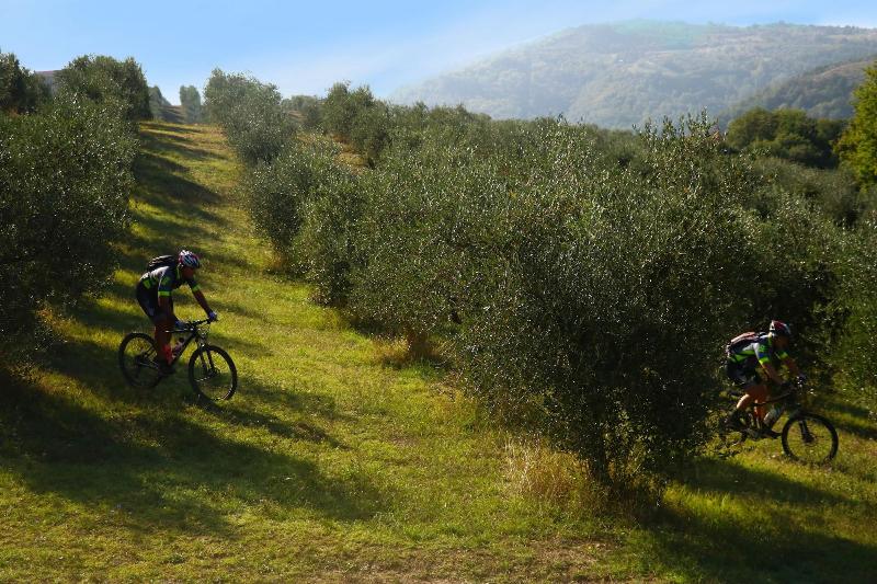 Agriturismo Fattoria Aquilone image