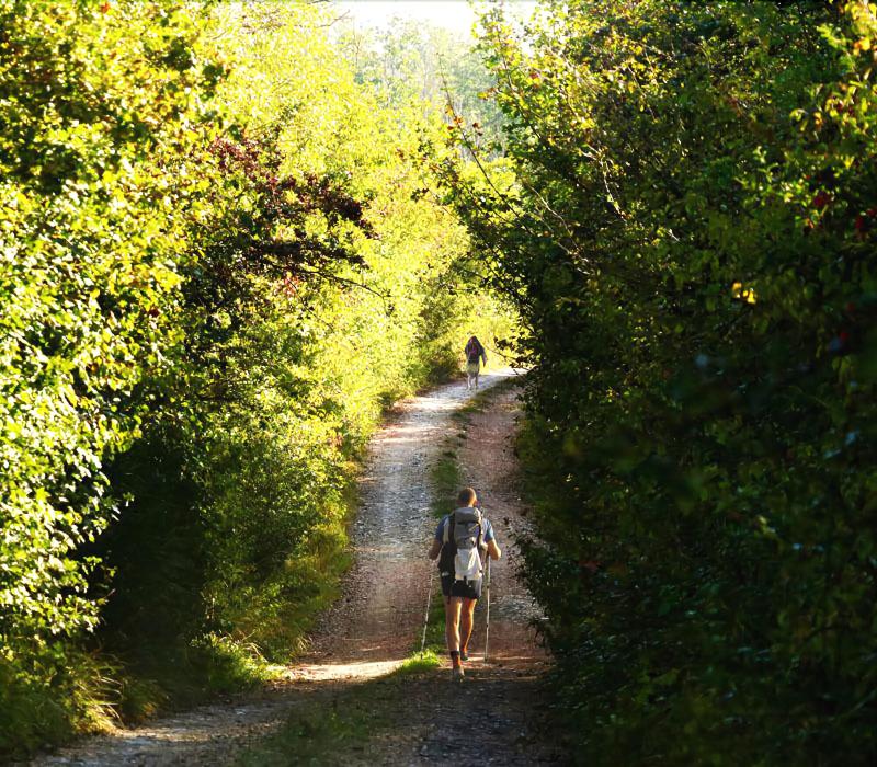Agriturismo Fattoria Aquilone image