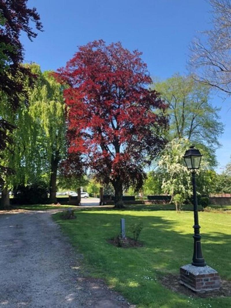 Hotel Les Champs image