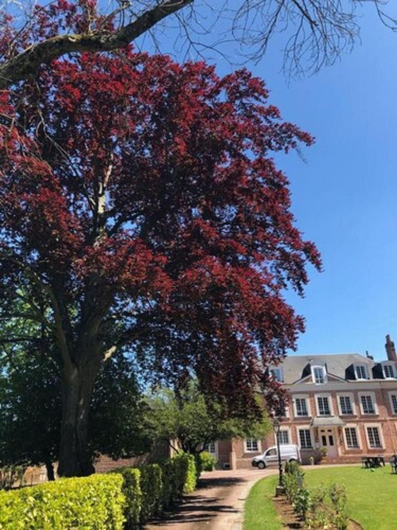 Hotel Les Champs image