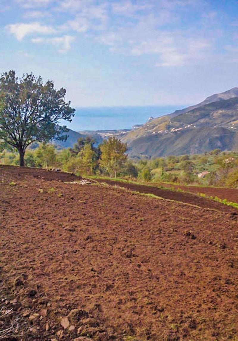 Agriturismo Terrerosse Di Massadita image