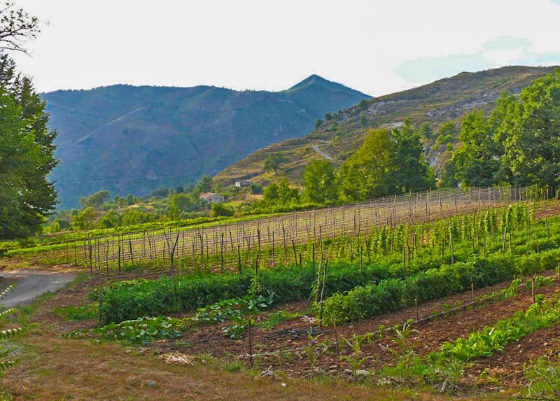 Agriturismo Terrerosse Di Massadita image