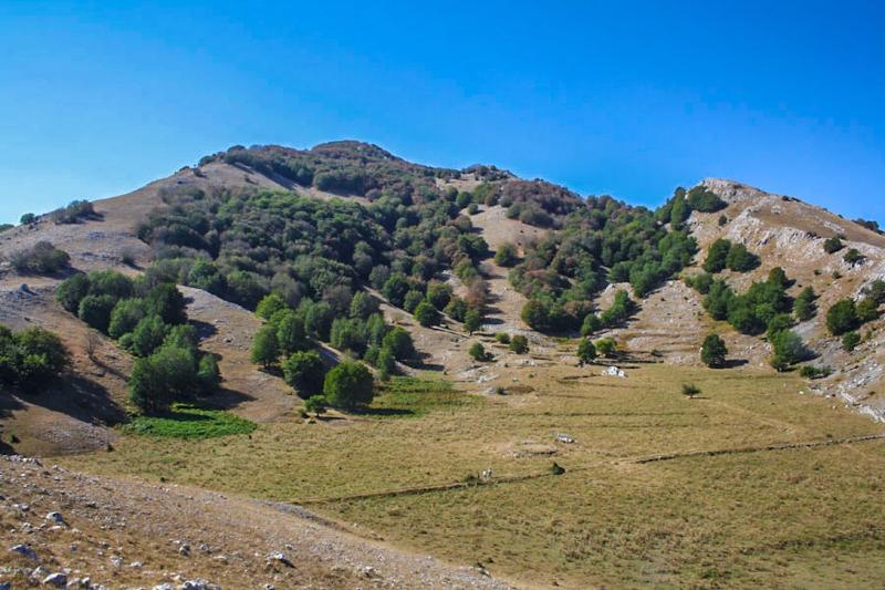 Agriturismo Terrerosse Di Massadita image