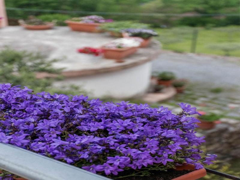 Agriturismo Terrerosse Di Massadita image