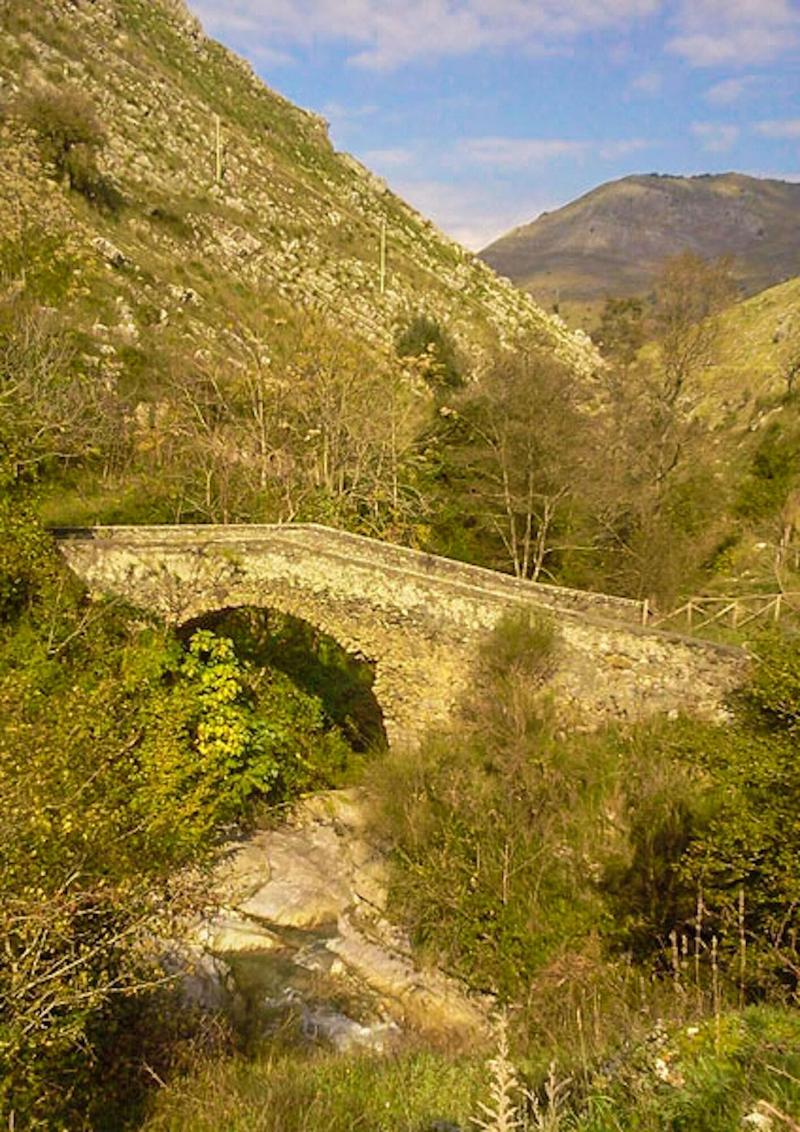 Agriturismo Terrerosse Di Massadita image