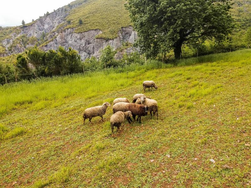 Agriturismo Terrerosse Di Massadita image