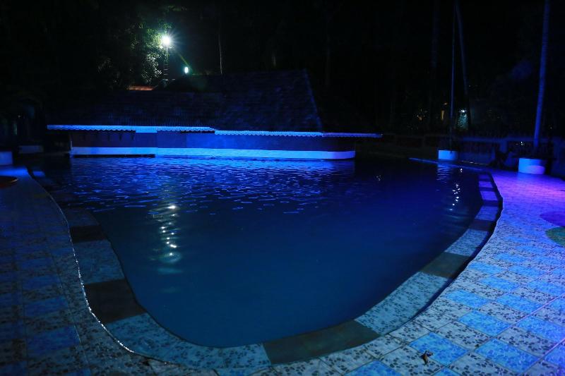 Emarald Ayurvedic Resort — view