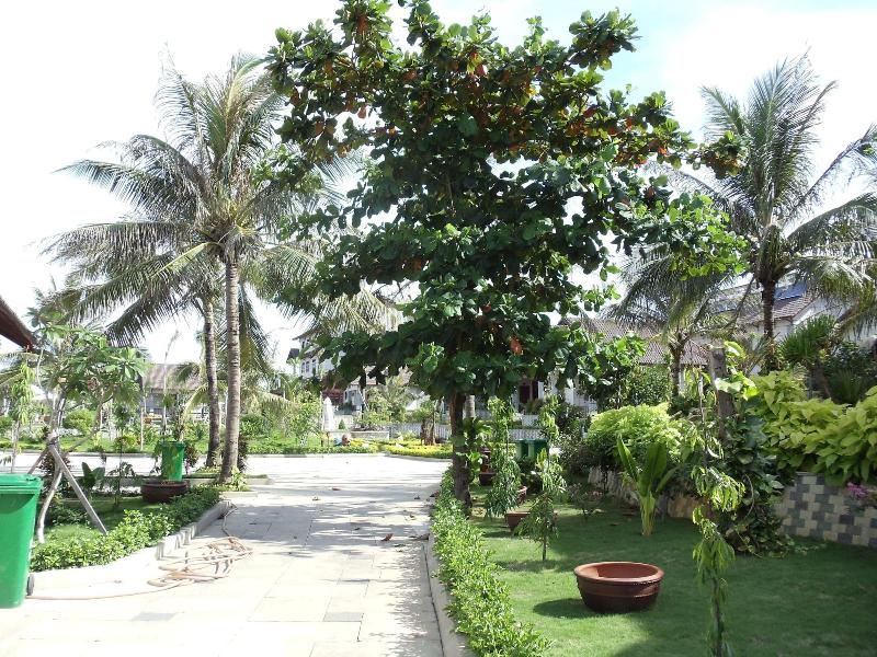 Sa Huynh Beach Resort image