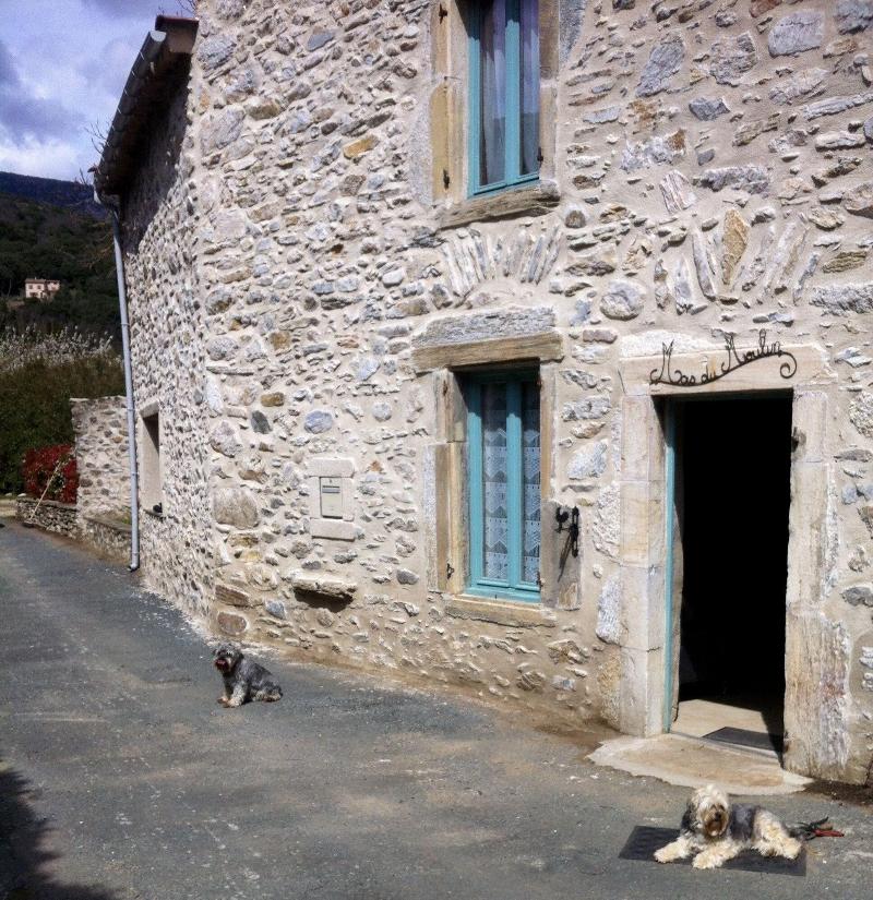 Le Moulin d'Arcas — photo 2