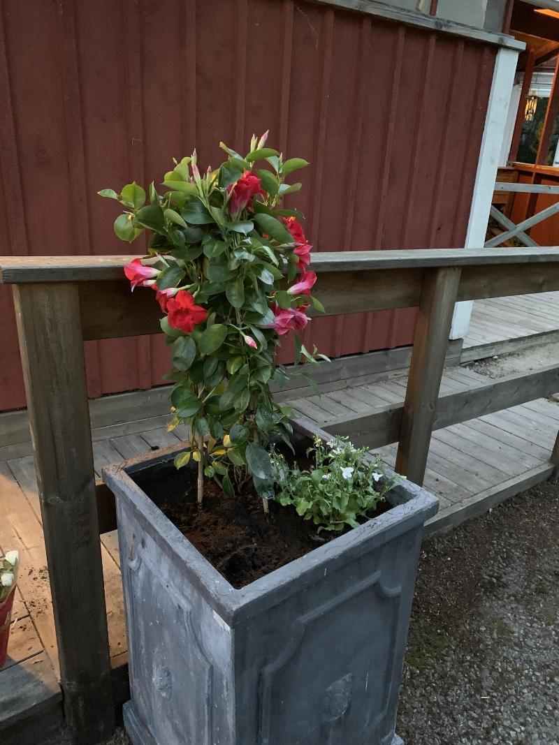Mellanfjardens Pensionat image