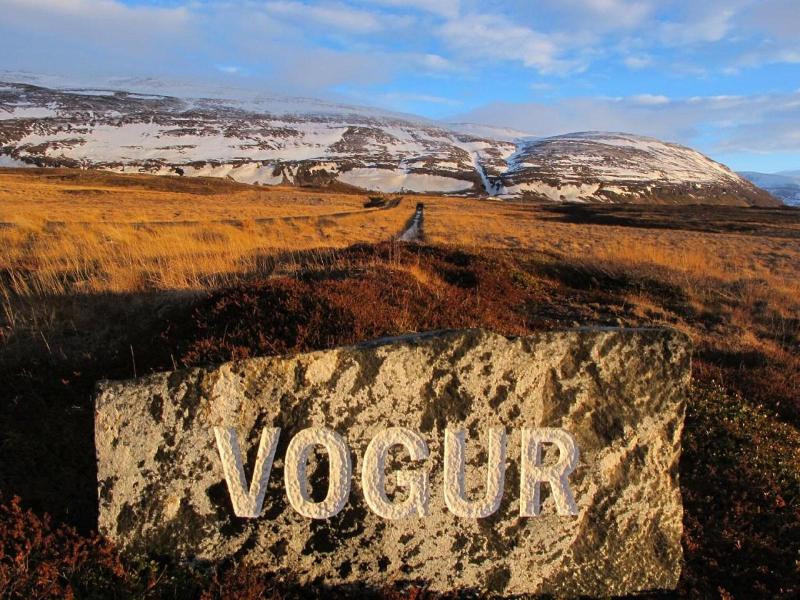 Vogur Country Lodge image