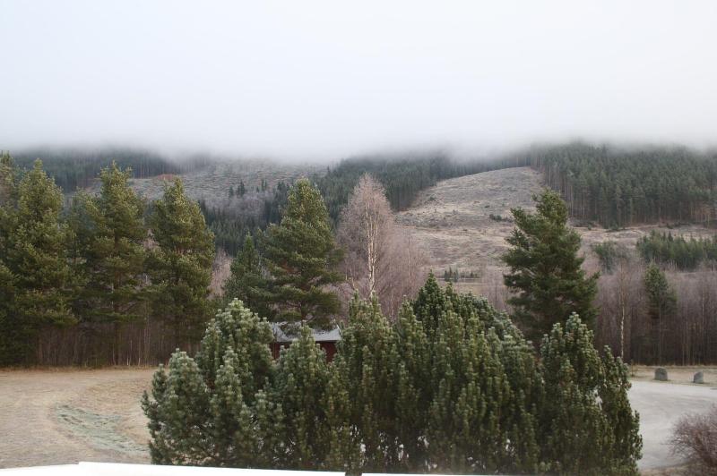 Dovreskogen Gjestegård image