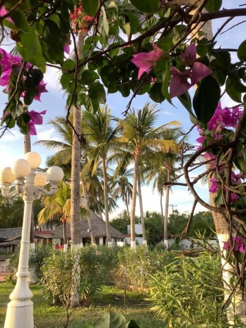 Hotel Arista Bugambilias — general view