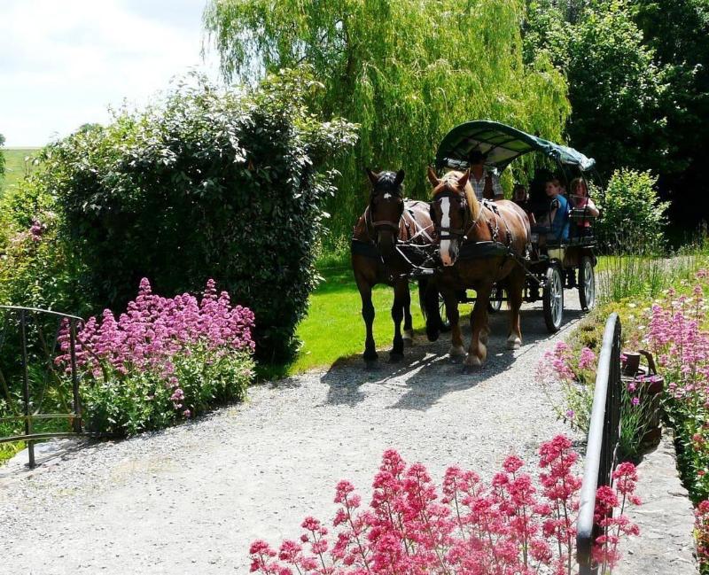 Chambres d'hôtes le Pot au Lait image