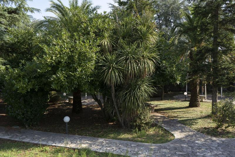 Corallo Country Hotel & SPA image