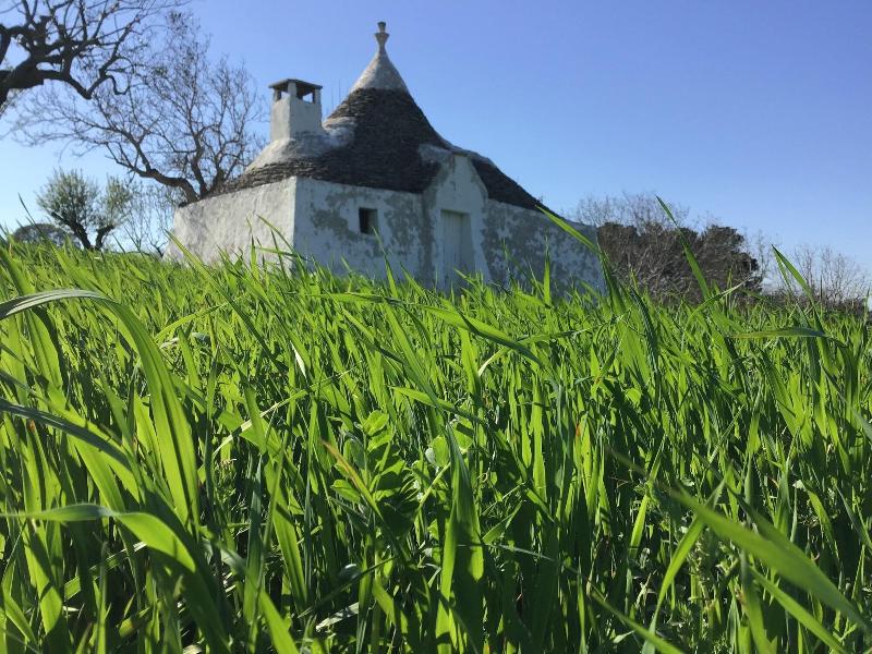 Corallo Country Hotel & SPA image