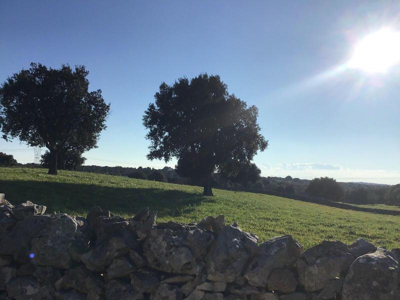 Corallo Country Hotel & SPA image