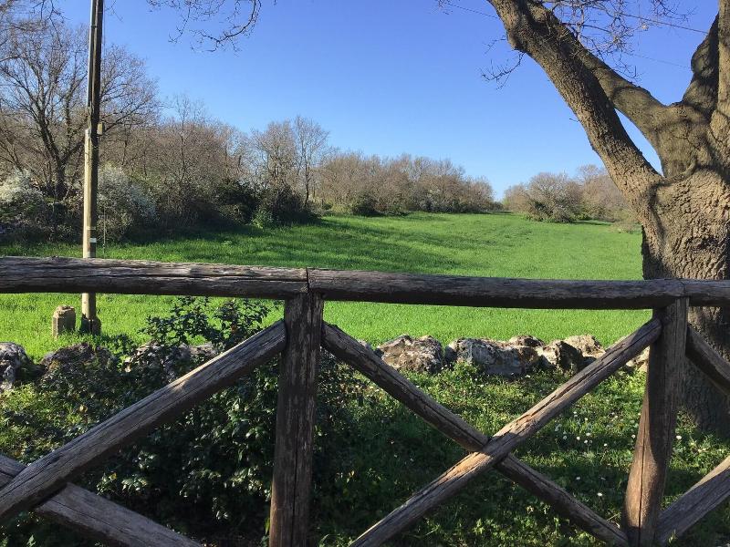 Corallo Country Hotel & SPA image