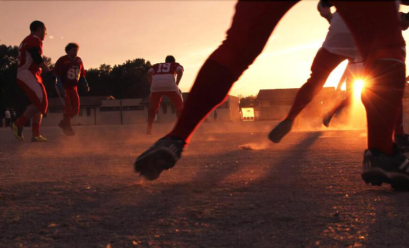 Bidrino Dream image