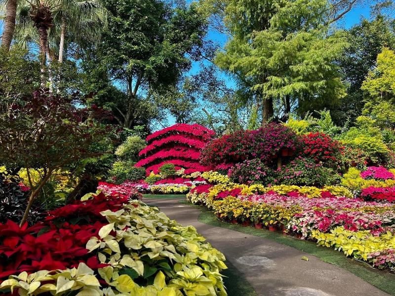 Flowerhome image