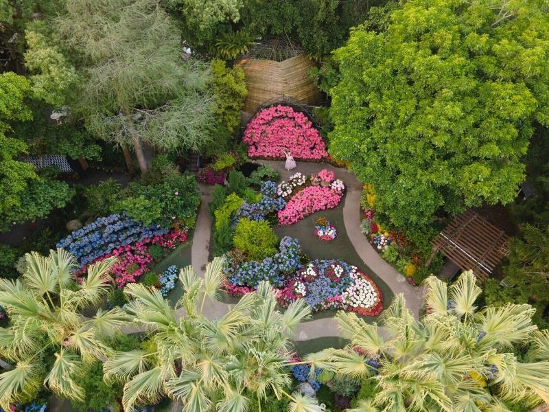 Flowerhome image