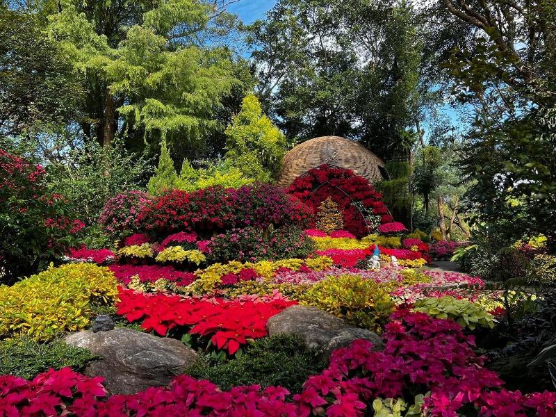 Flowerhome image
