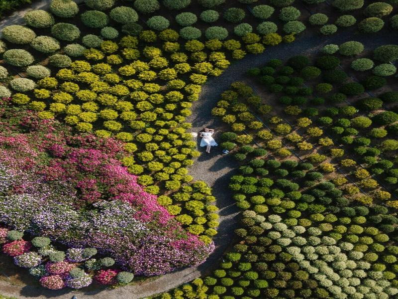Flowerhome image