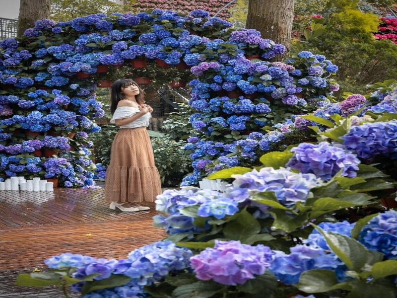 Flowerhome image