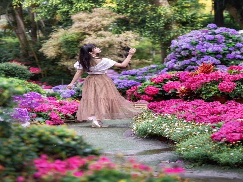 Flowerhome image