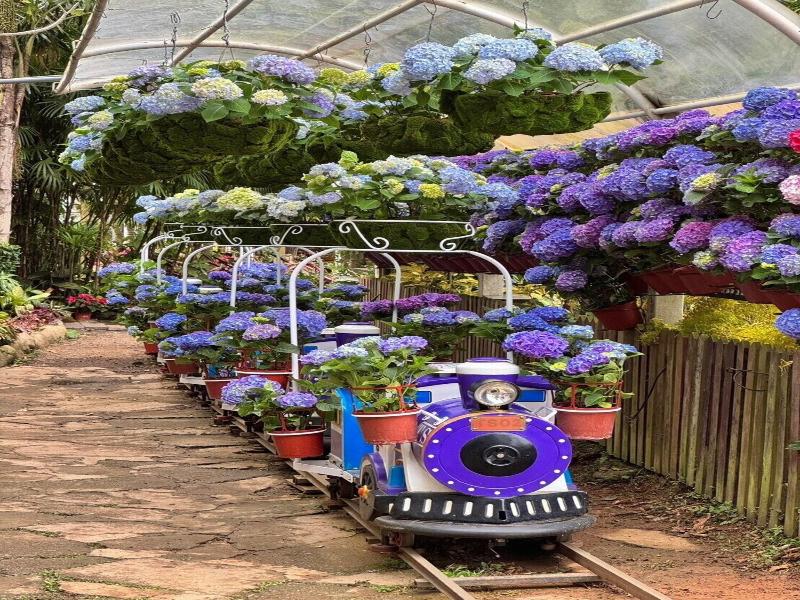 Flowerhome image