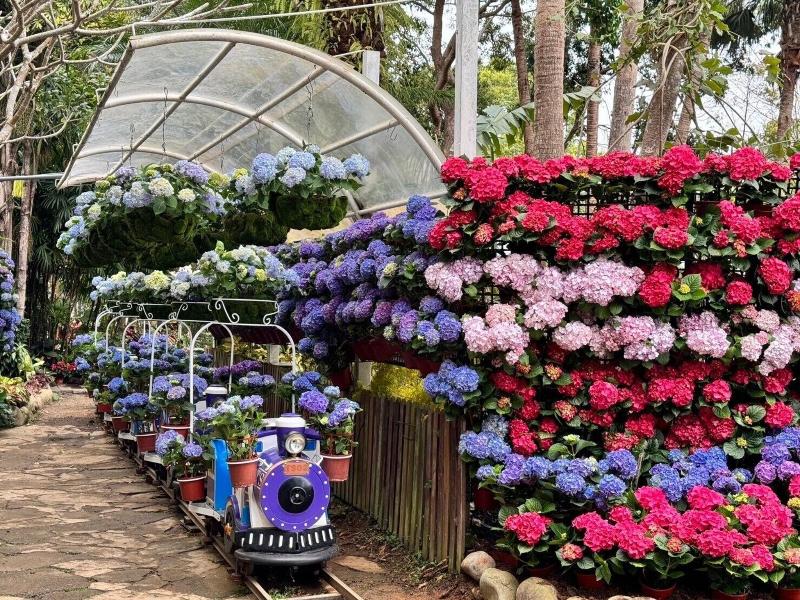 Flowerhome image
