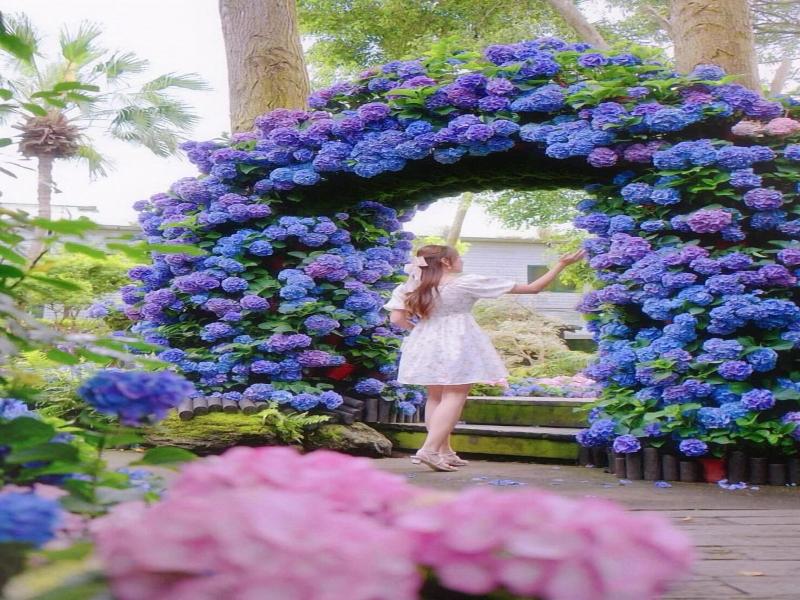 Flowerhome image