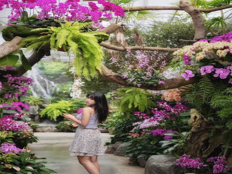 Flowerhome image