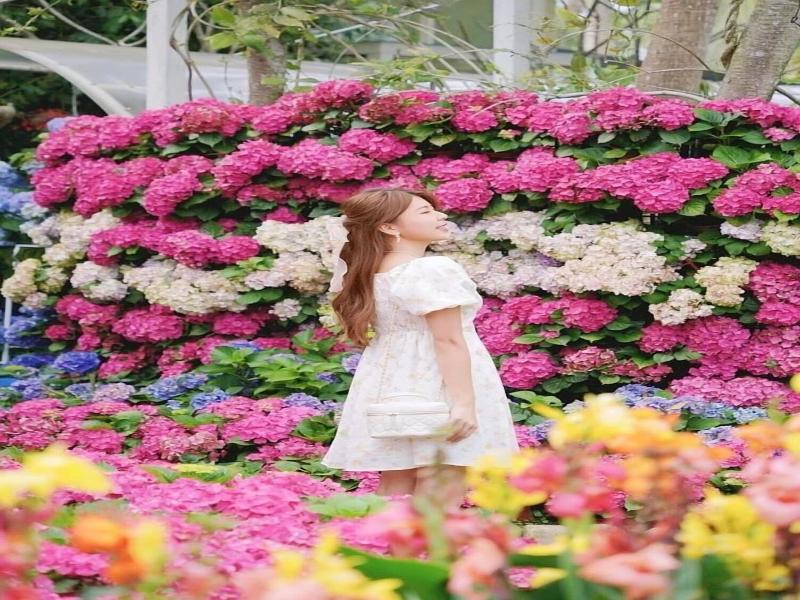 Flowerhome image