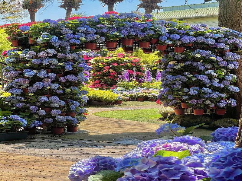 Flowerhome image