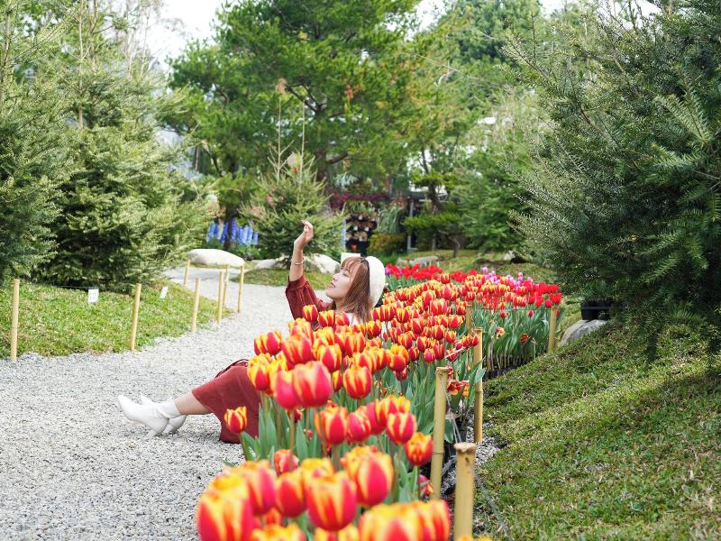 Flowerhome image